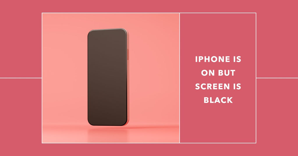 iPhone is On But Screen is Black Full Troubleshooting Guide [2023]