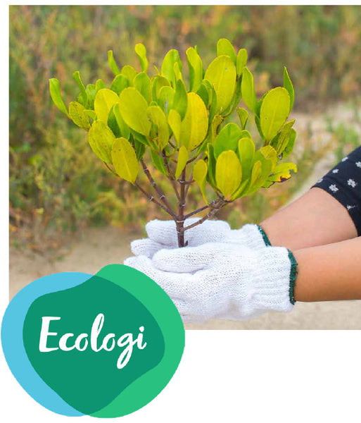 Ecologi - our Eco Partner 