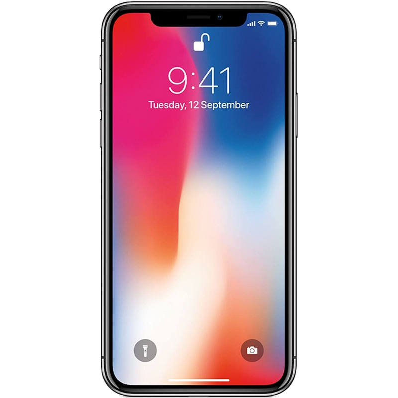  Apple iPhone X - Unlocked